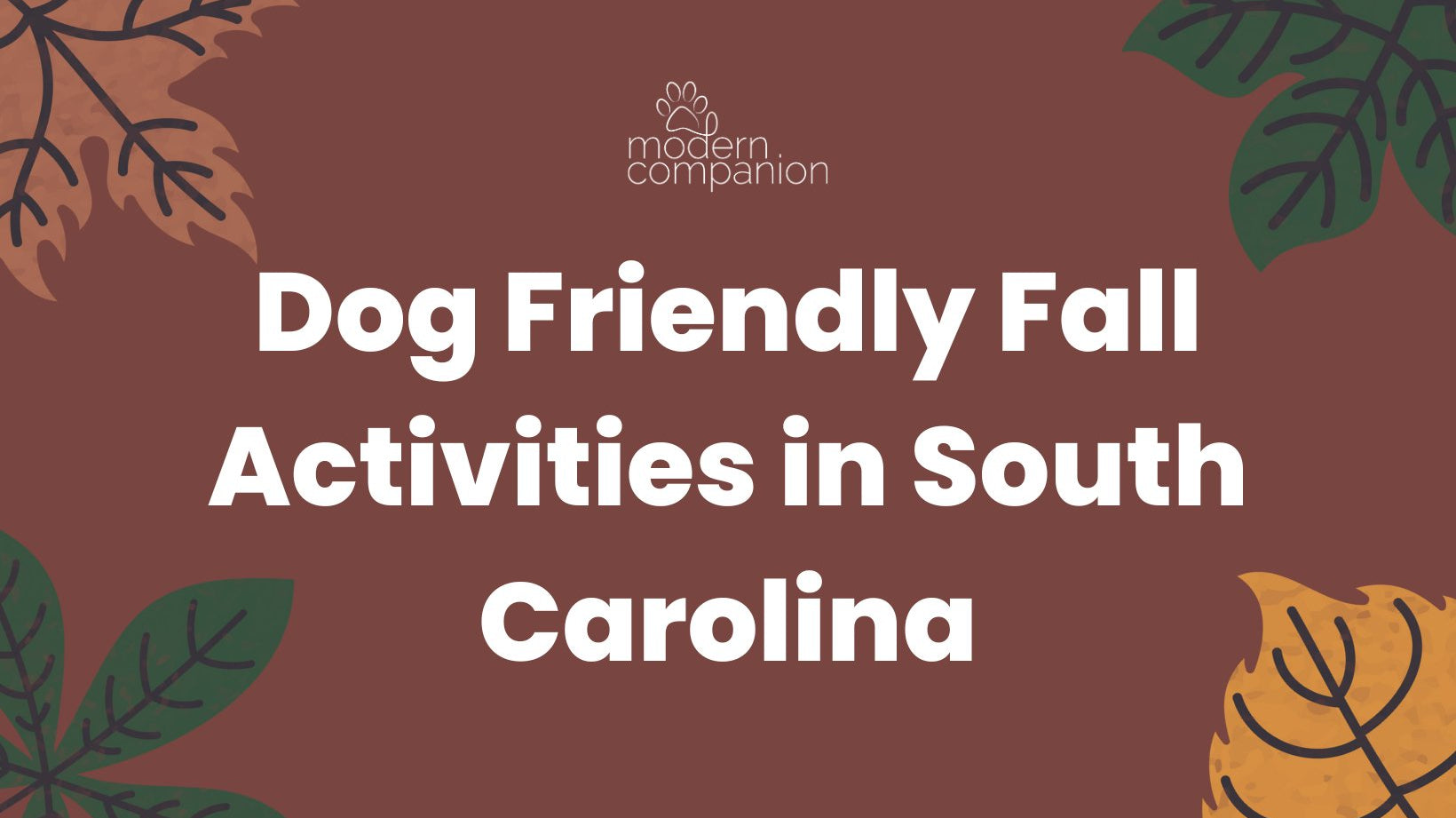 Dog Friendly Fall Activities in the South Carolina Midlands - Modern Companion