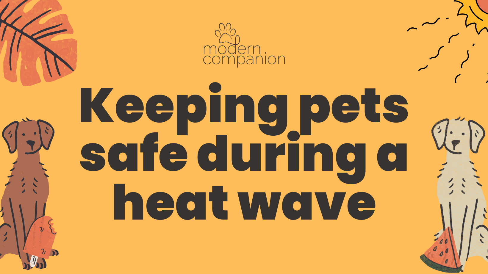 Heatwave tips for pet parents - Modern Companion