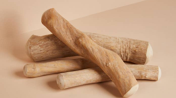 Our Top 5 Products for Tough Chewers - Modern Companion