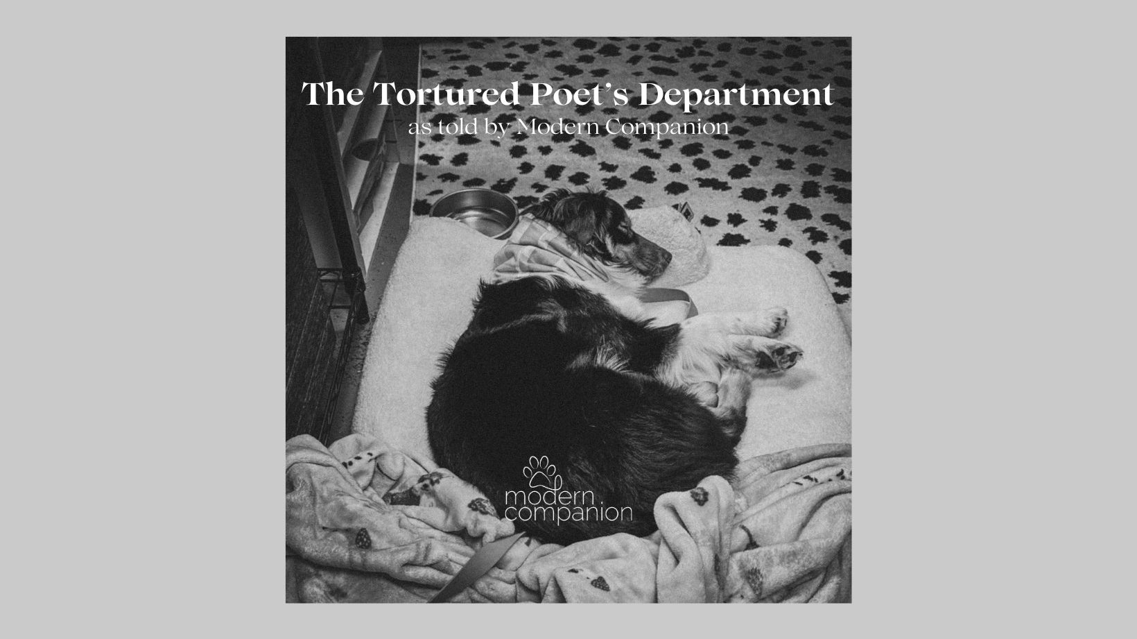 The Tortured Poet's Department as told by Modern Companion - Modern Companion
