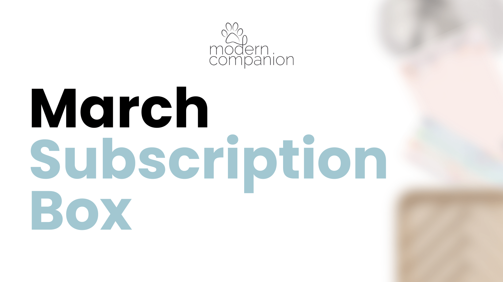 What was in the March Modern Companion subscription box - Modern Companion