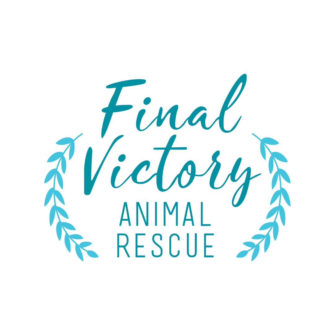 Final Victory Animal Rescue Wishlist - Modern Companion