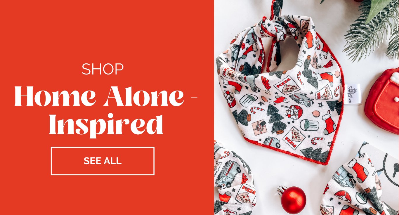 Home Alone Inspired - Modern Companion