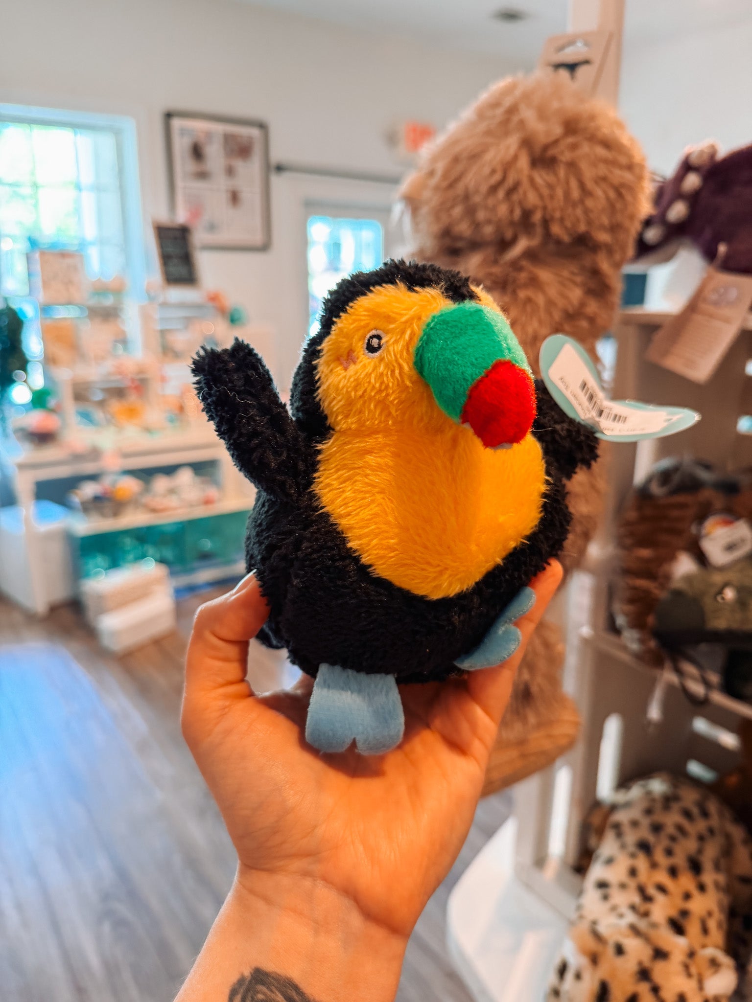 2 - in - 1 Birdiez Toucan Toy - Modern Companion