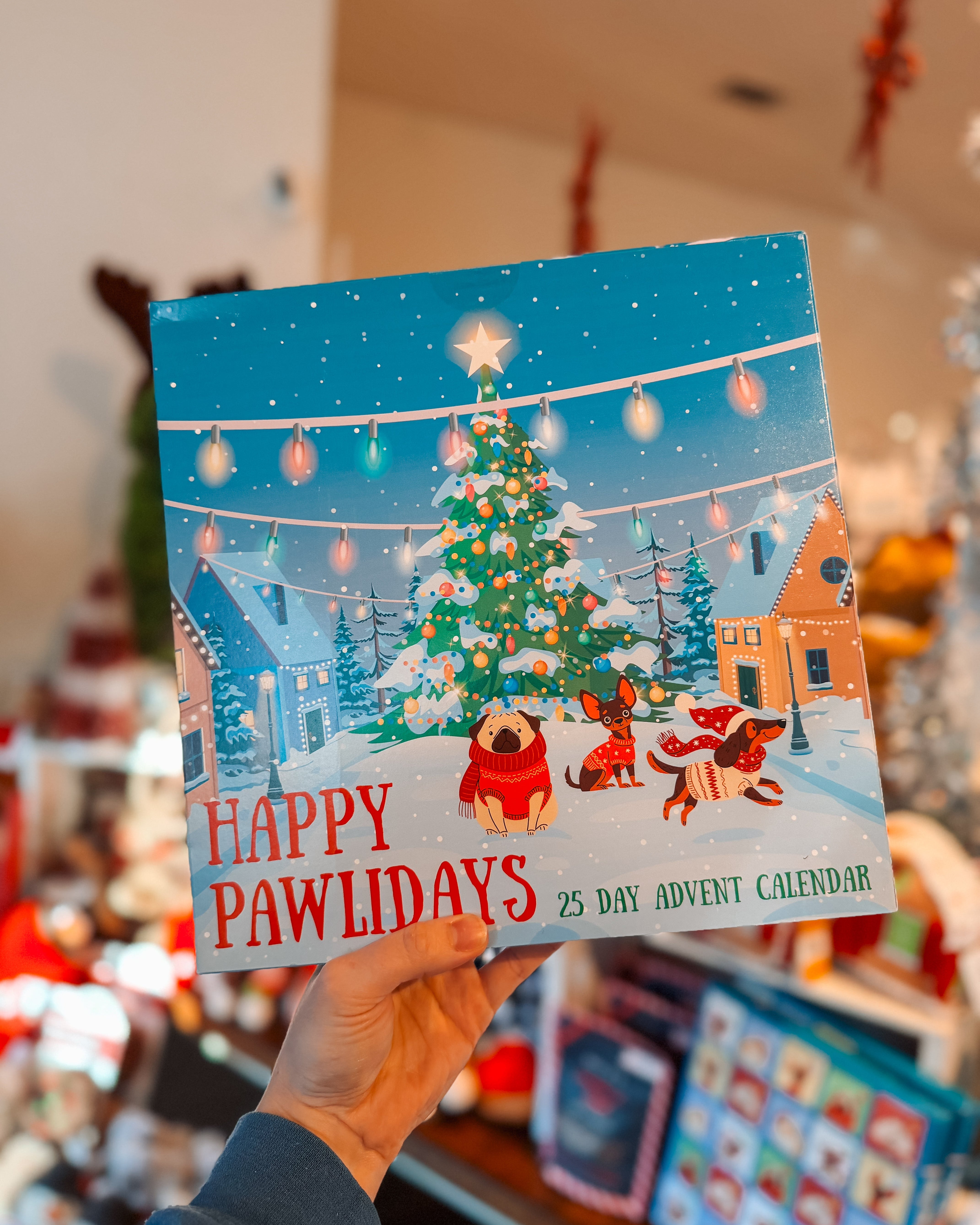 Advent Calendar For Dogs - Modern Companion