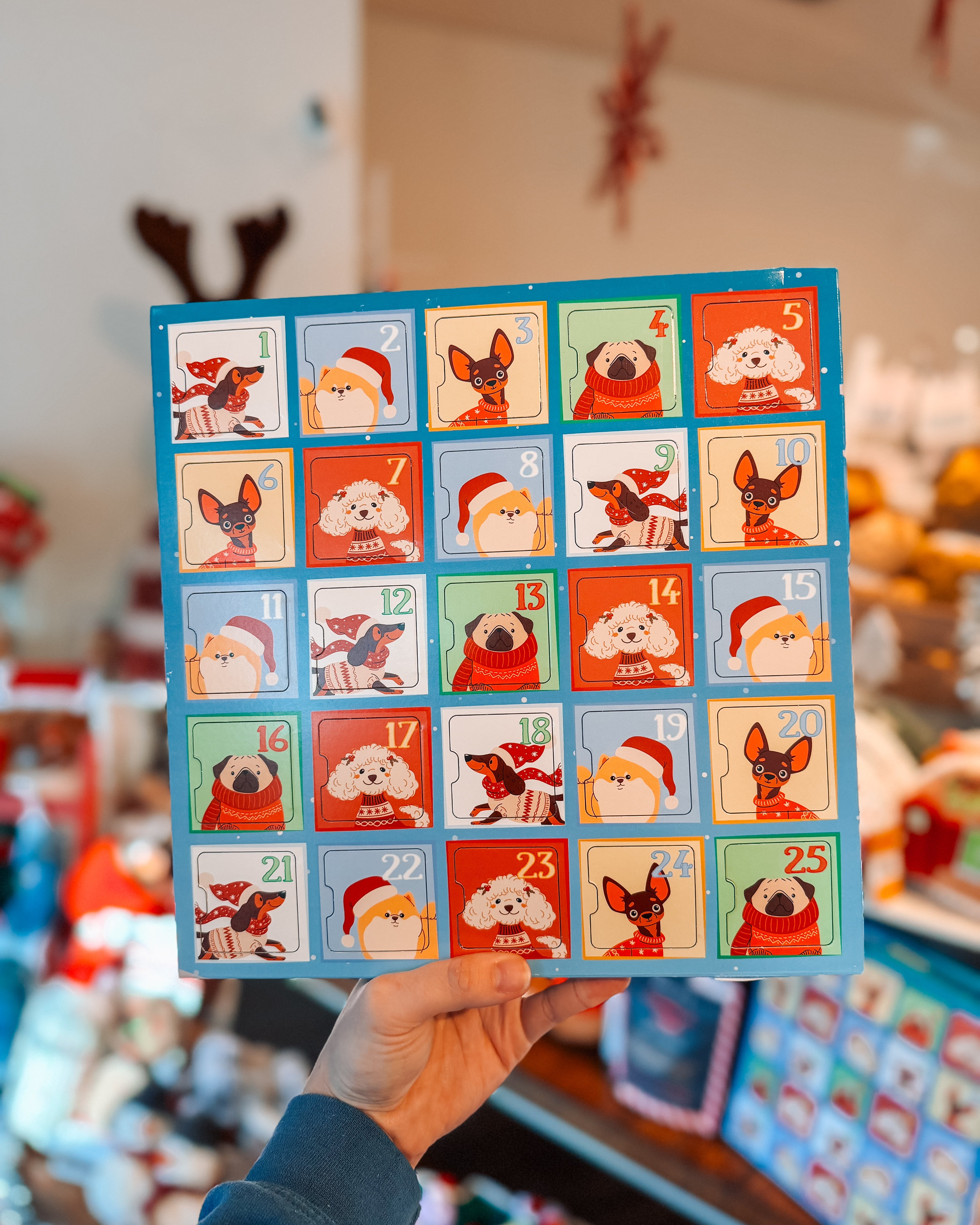 Advent Calendar For Dogs - Modern Companion