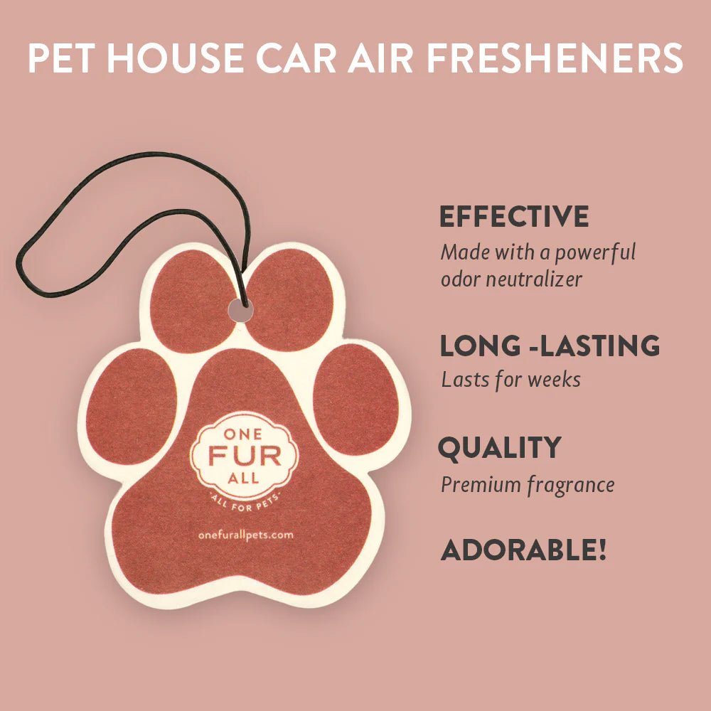 Apple Cider Car Freshener - Modern Companion