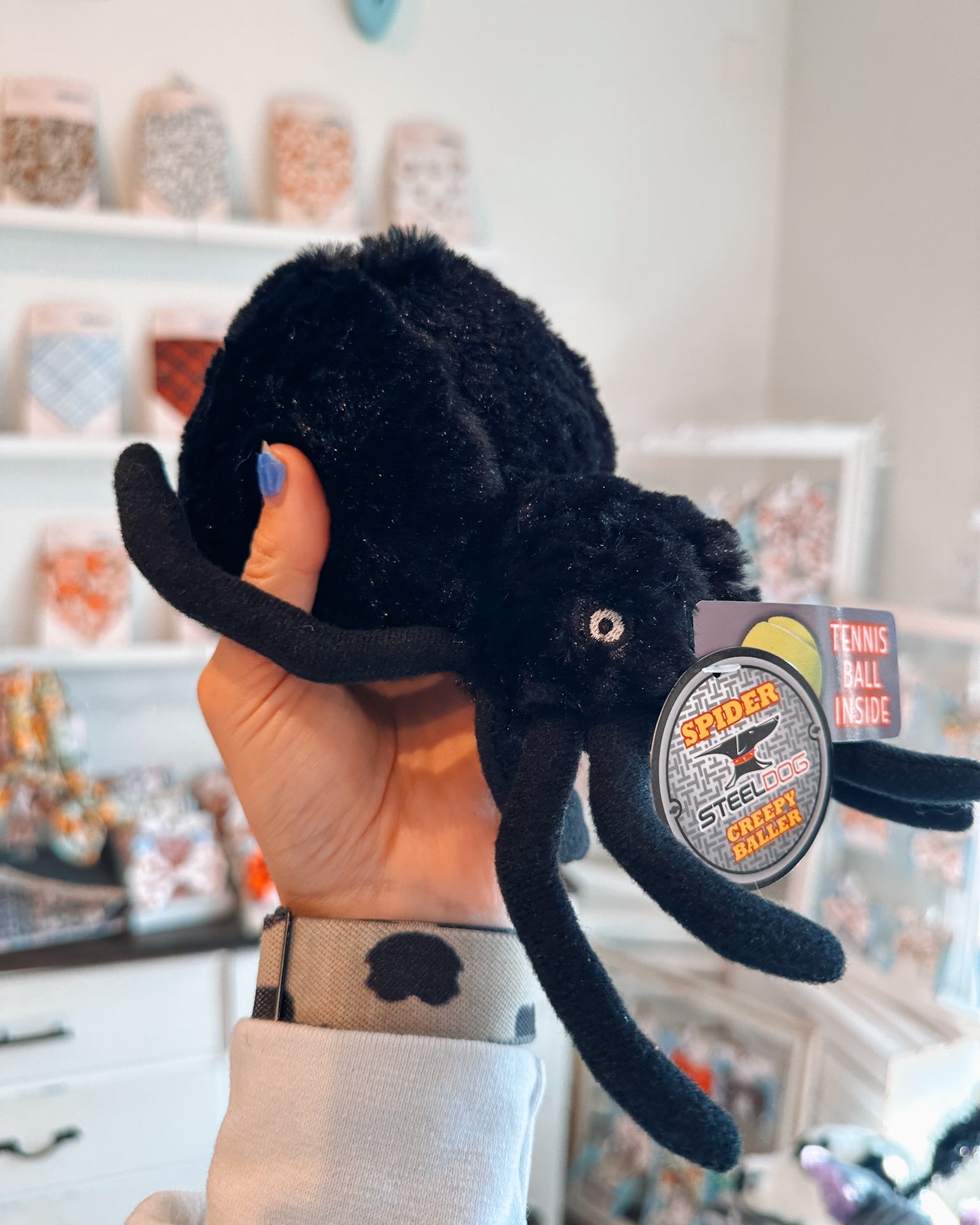 Baller Spider - Modern Companion