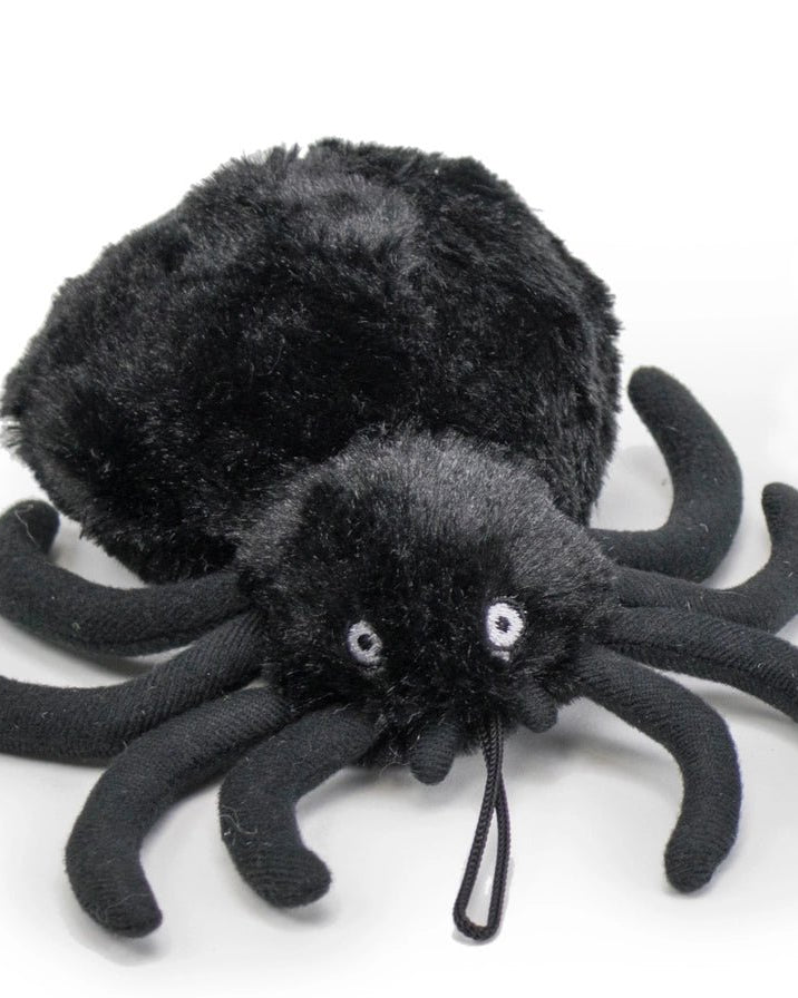 Baller Spider - Modern Companion