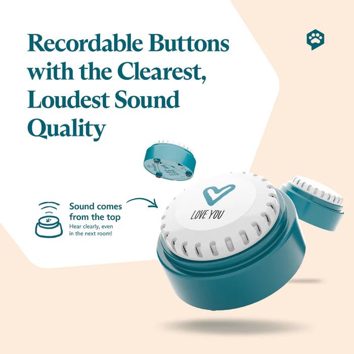 Basic Starter Kit - Talking Buttons - Modern Companion