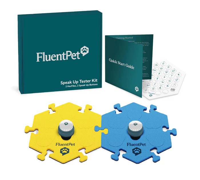 Basic Starter Kit - Talking Buttons - Modern Companion