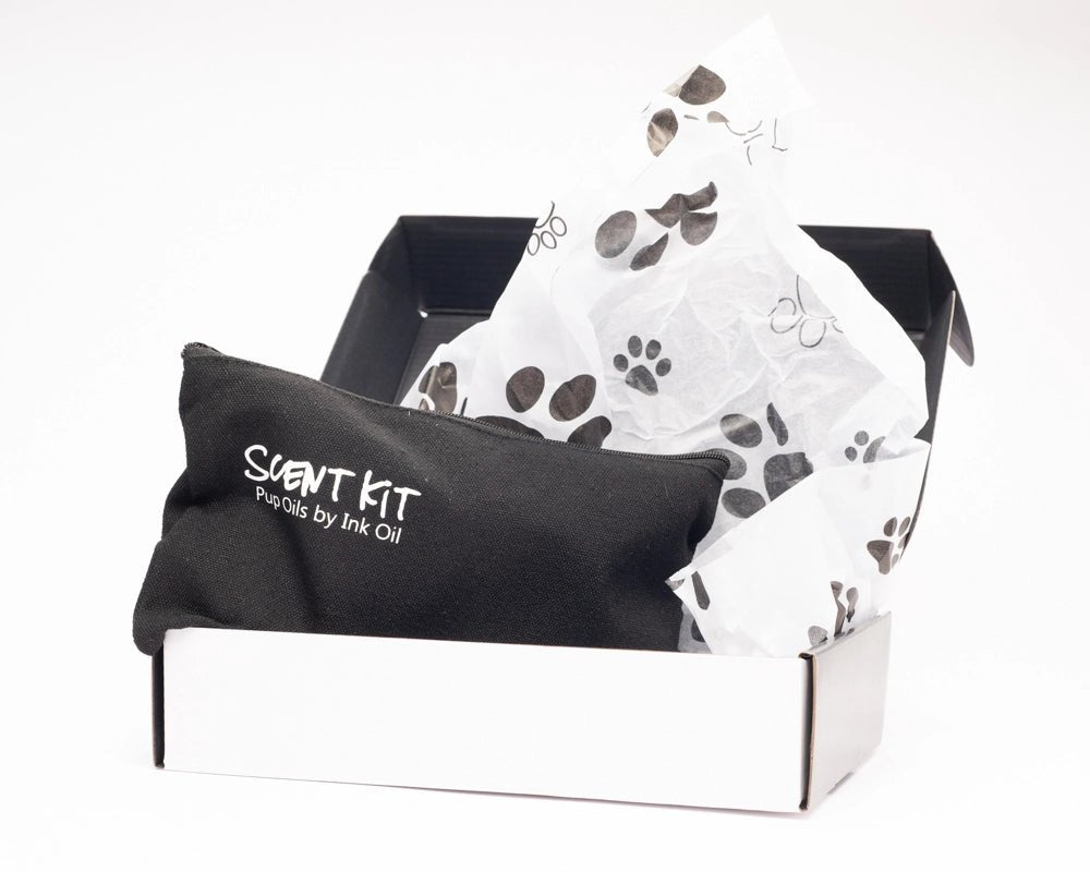 Beginners Pet Scent Work Kit - Modern Companion