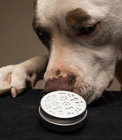 Beginners Pet Scent Work Kit - Modern Companion