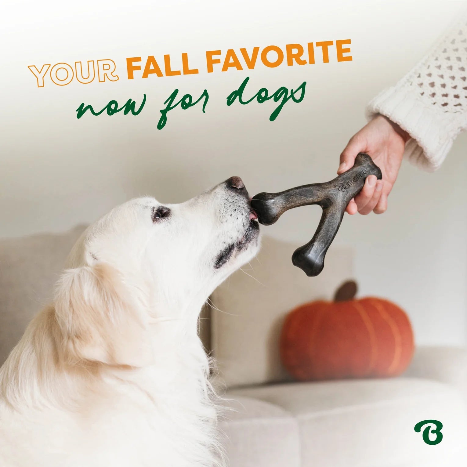 Benebone Wishbone Pumpkin Spice - Modern Companion