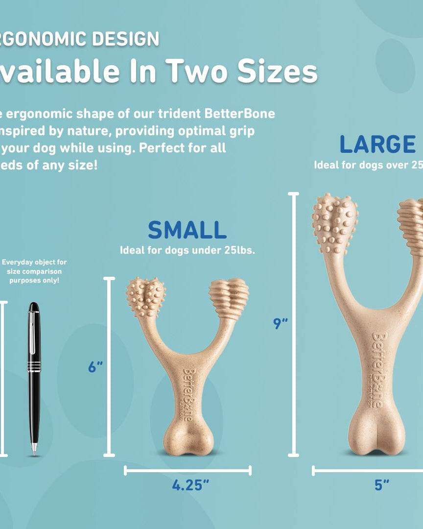 BetterBone Chew Toy - Modern Companion