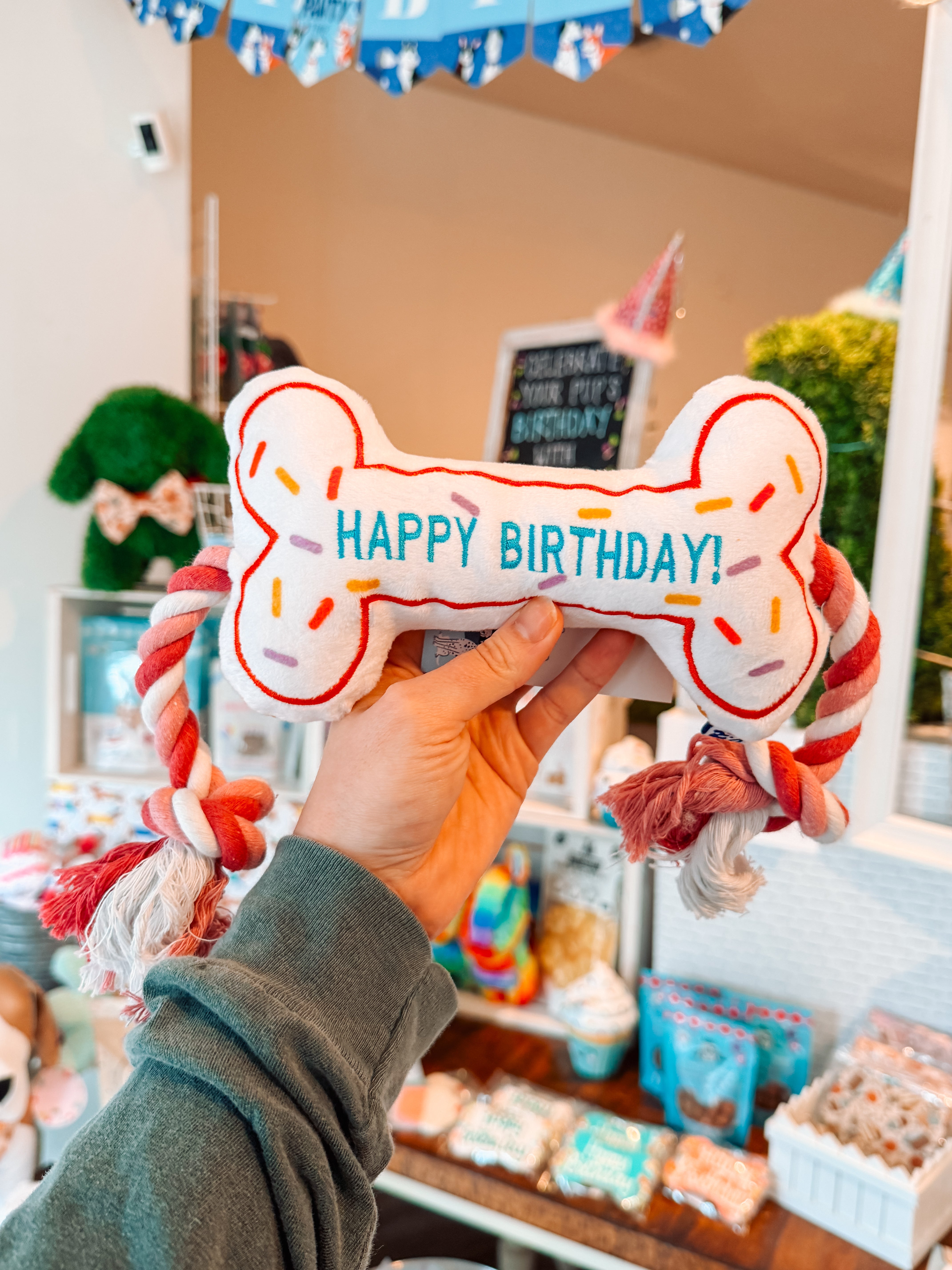 Birthday Bone Toy - Modern Companion