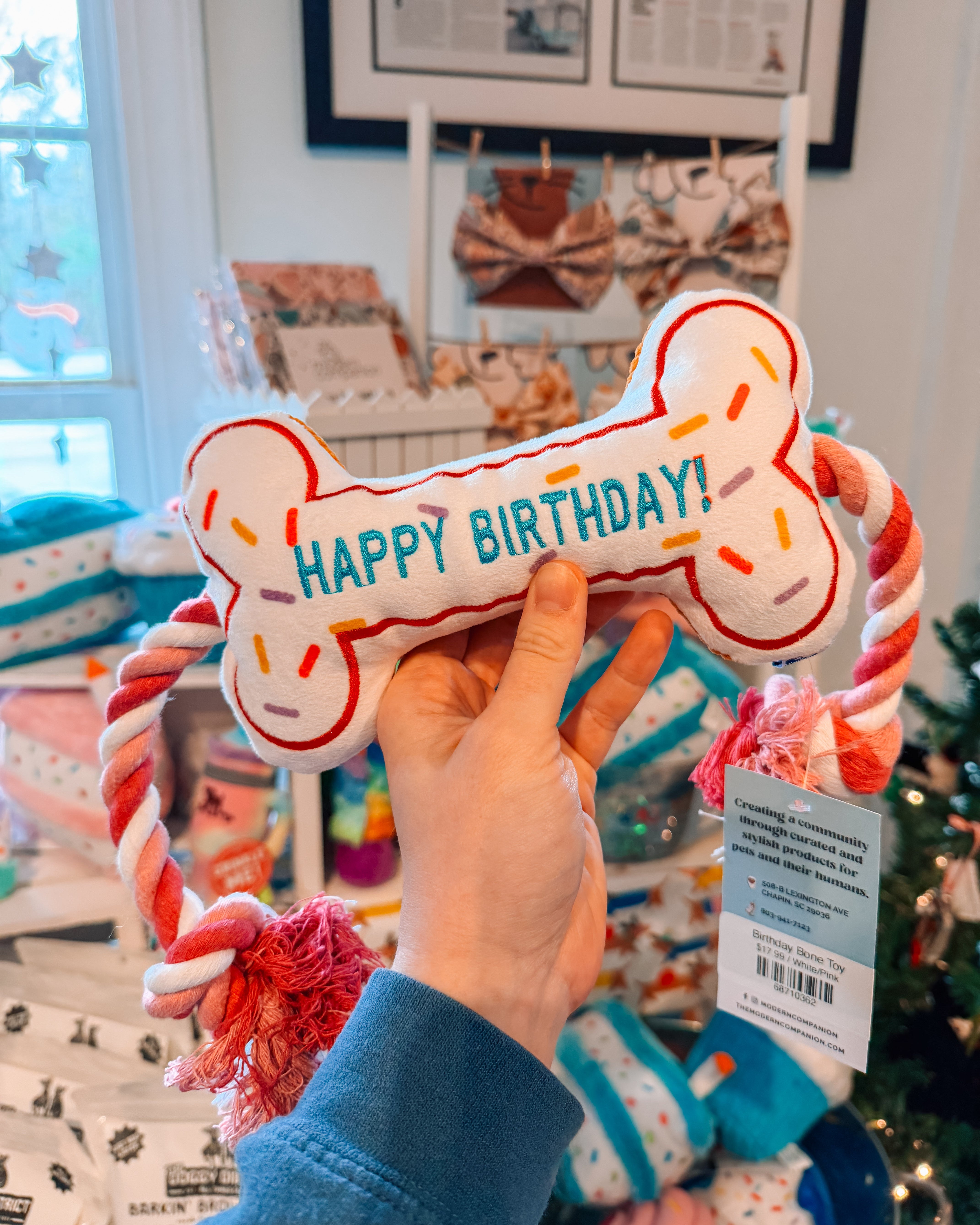 Birthday Bone Toy - Modern Companion