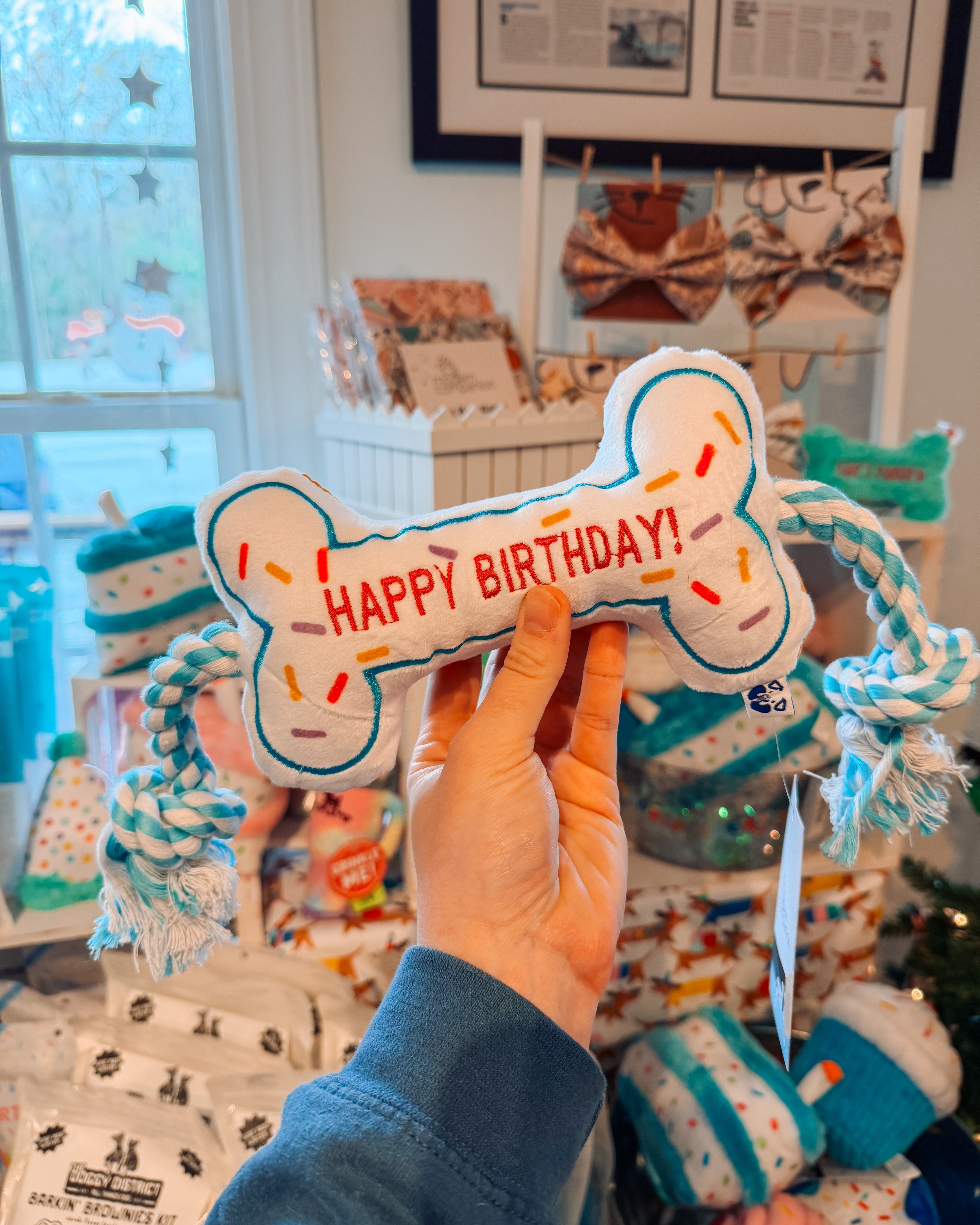 Birthday Bone Toy - Modern Companion