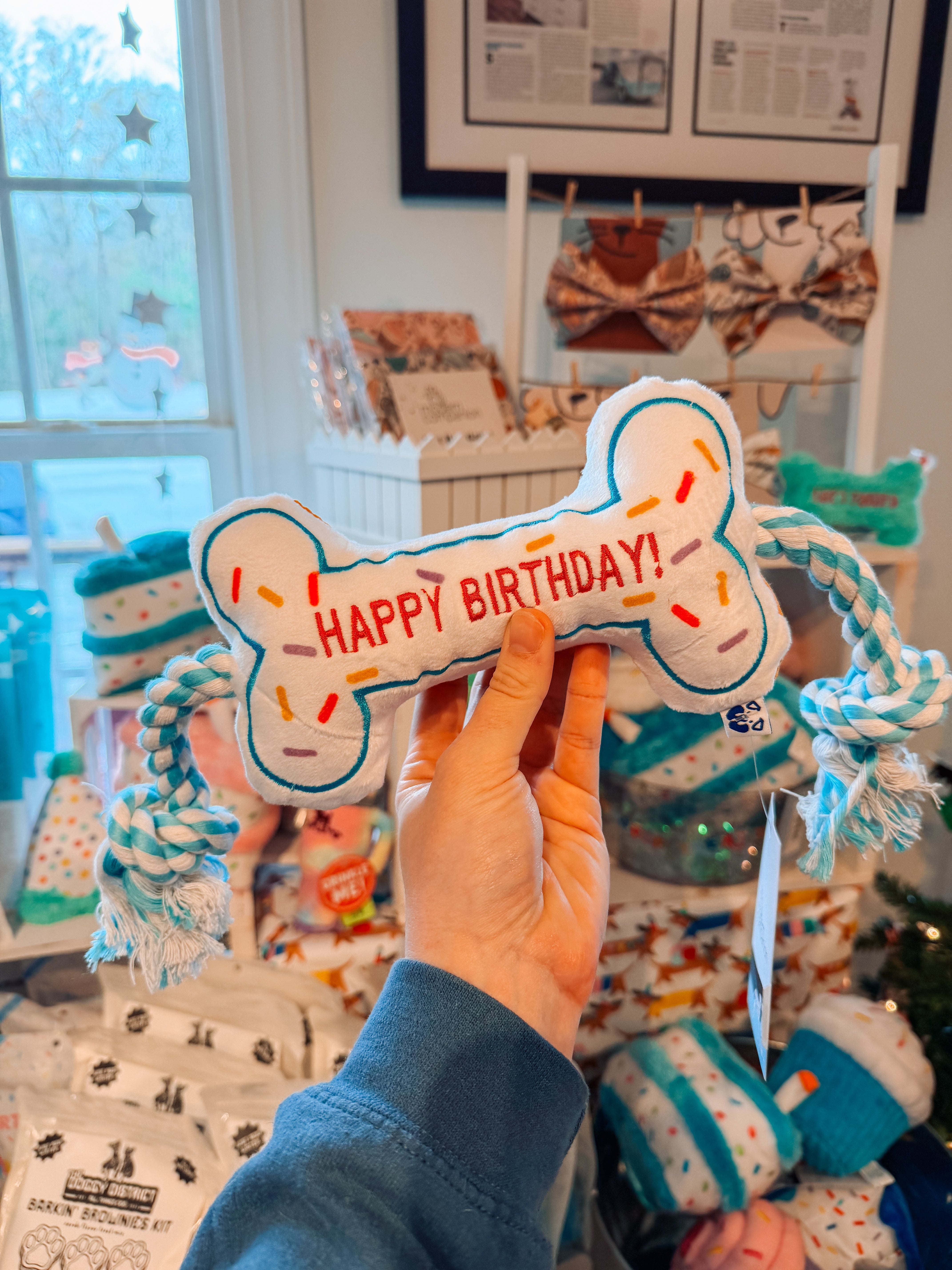 Birthday Bone Toy - Modern Companion