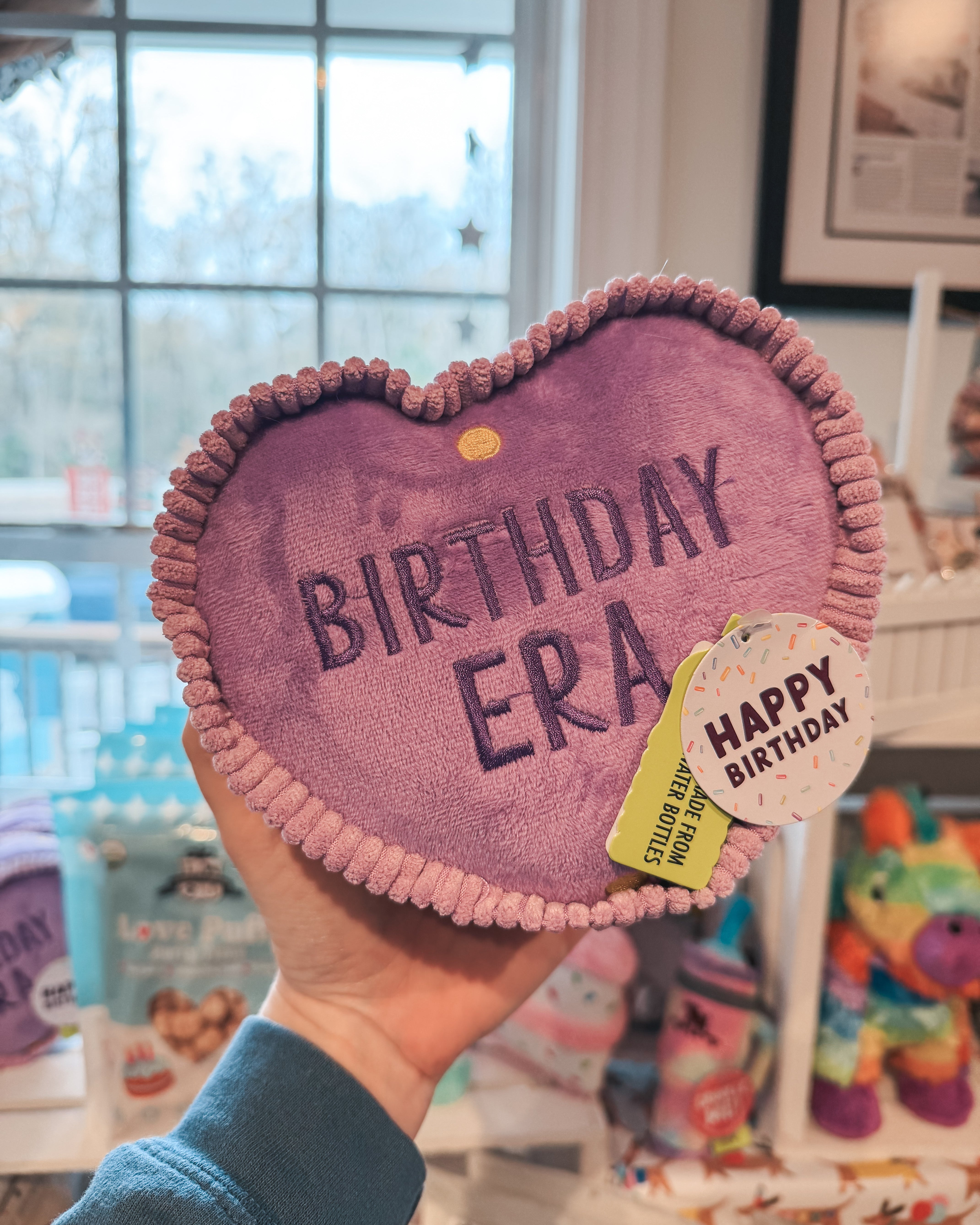 Birthday Era Plush Toy - Modern Companion