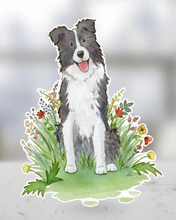 Border Collie Sticker - Modern Companion