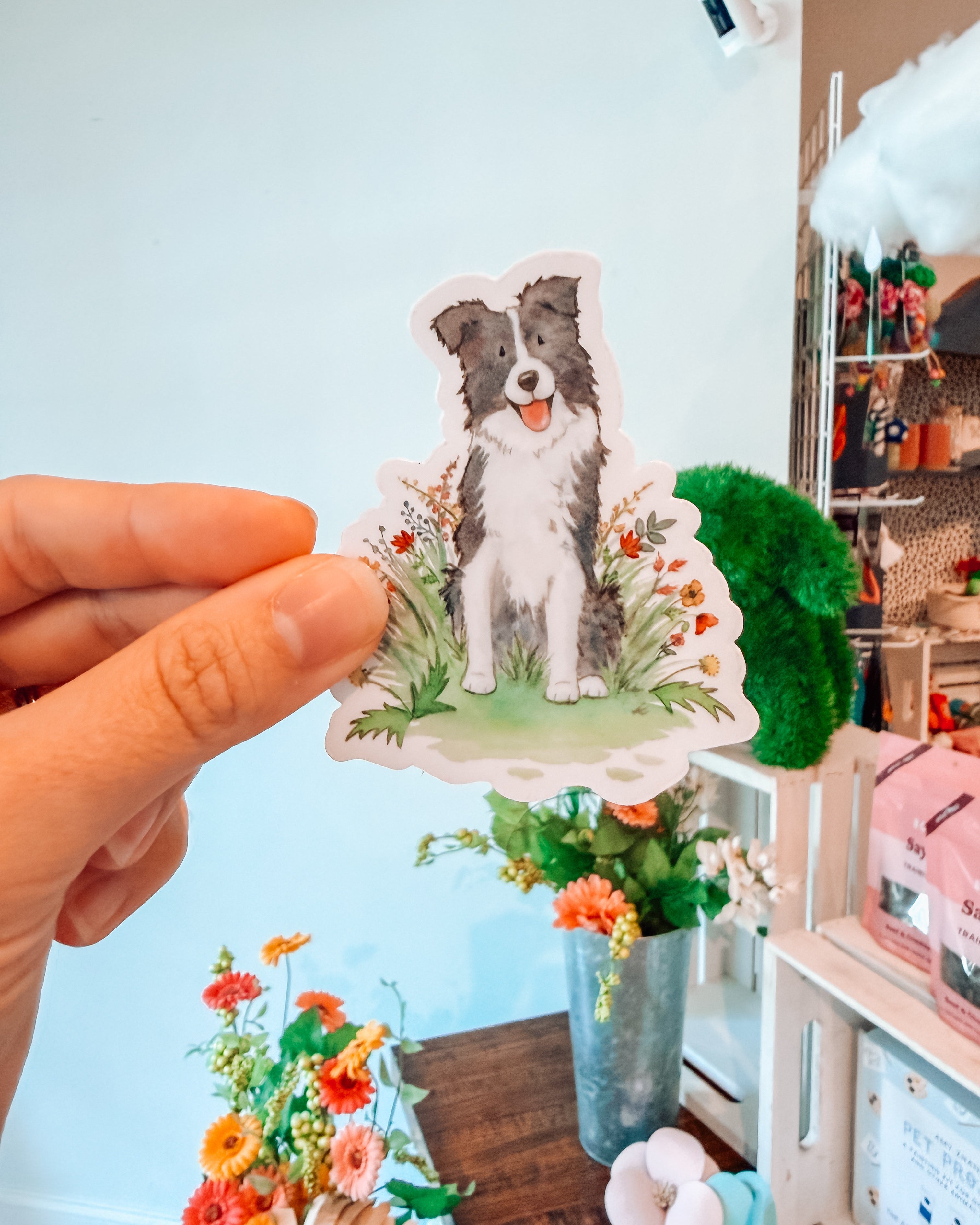 Border Collie Sticker - Modern Companion