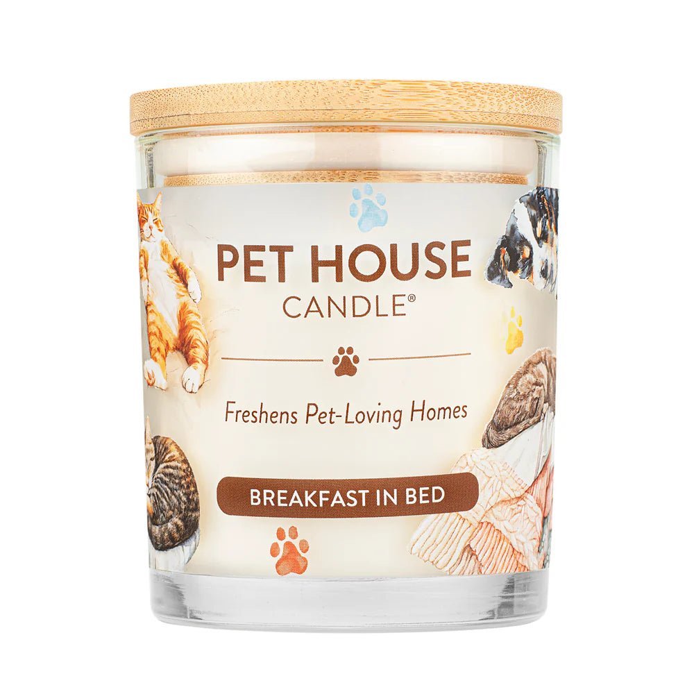 Breakfast in Bed Candle - Modern Companion