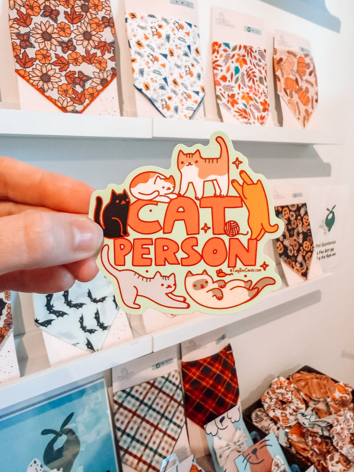 Cat Person Sticker - Modern Companion