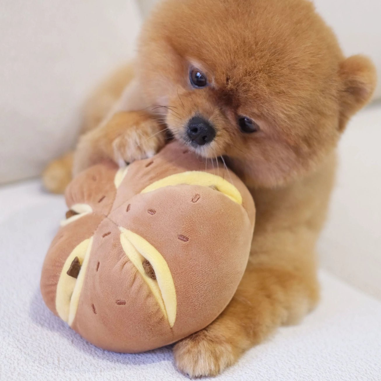 Cheesy Bread Nosework Enrichment Toy - Modern Companion