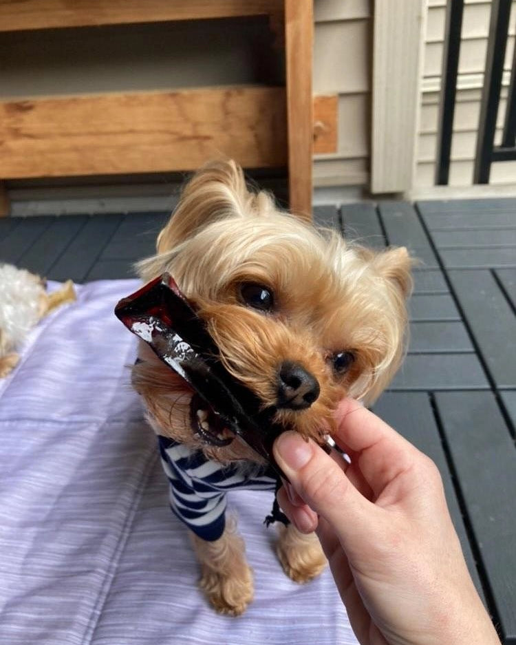 Collagen Beef Liver Chew - Modern Companion