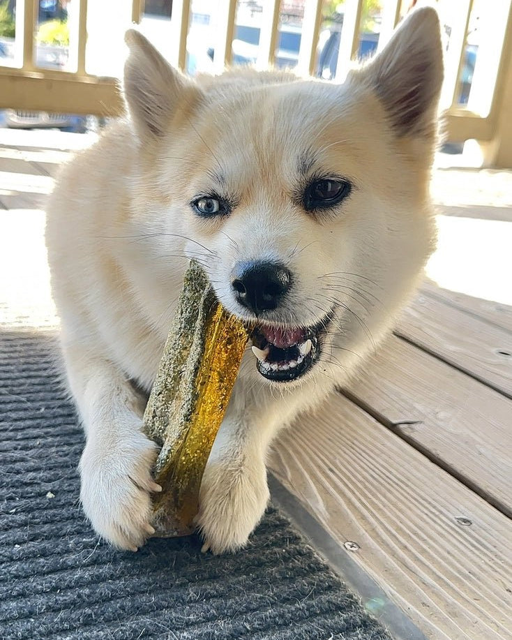 Collagen Pork Parsley Chew - Modern Companion