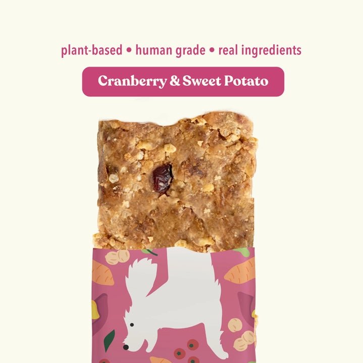 Cranberry & Sweet Potato Snack Bars - Modern Companion