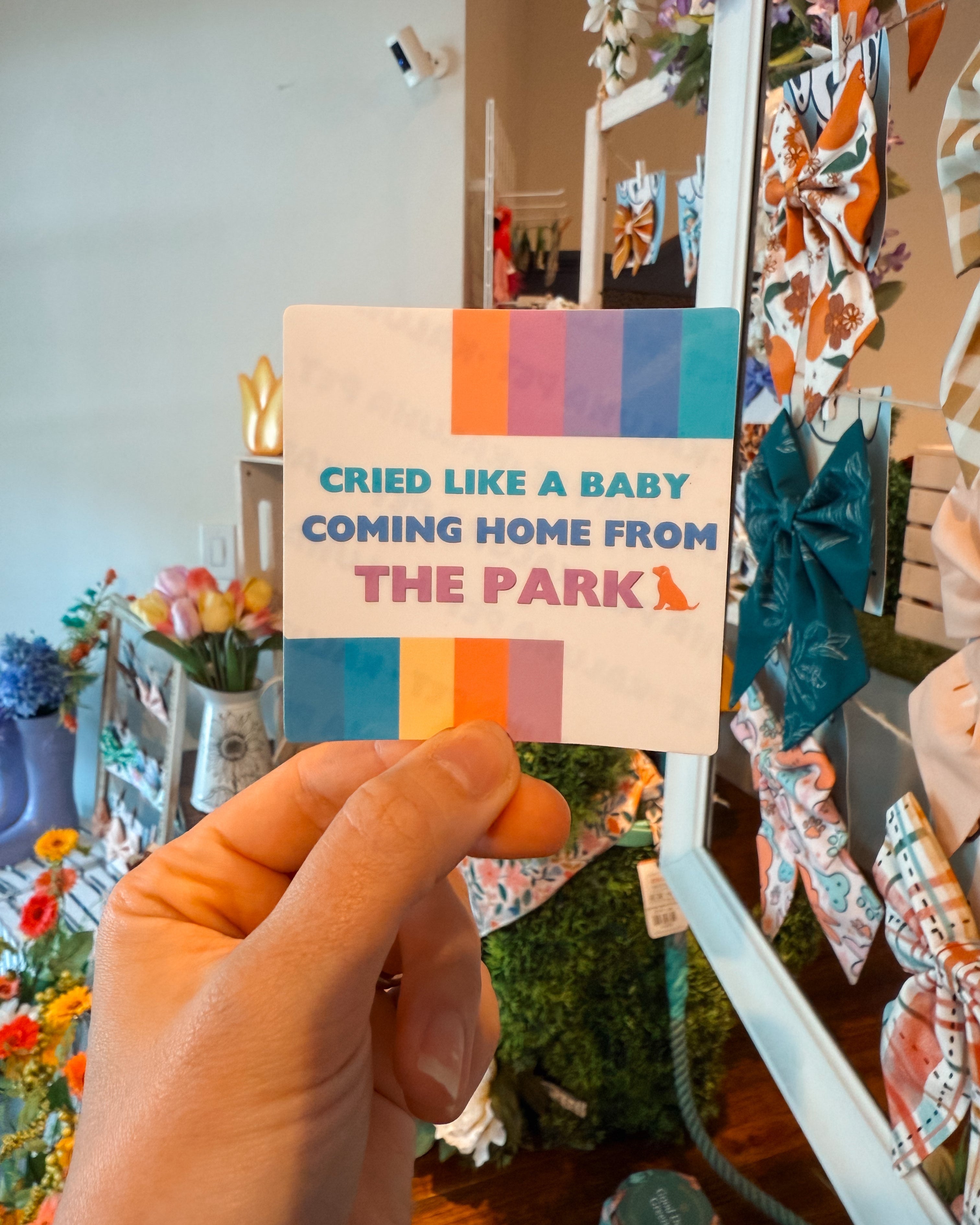Cried Like a Baby Coming Home from the Park Sticker - Modern Companion