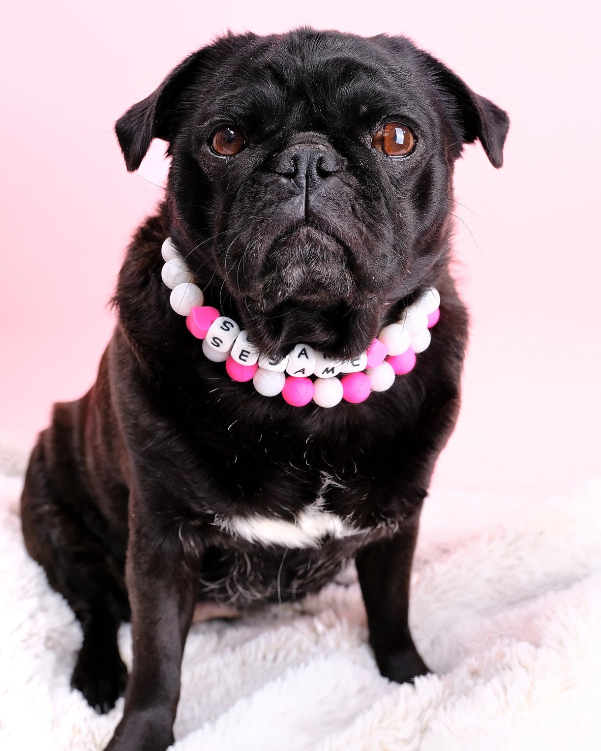 Customizable Friendship Bracelet Pet Collar - Modern Companion