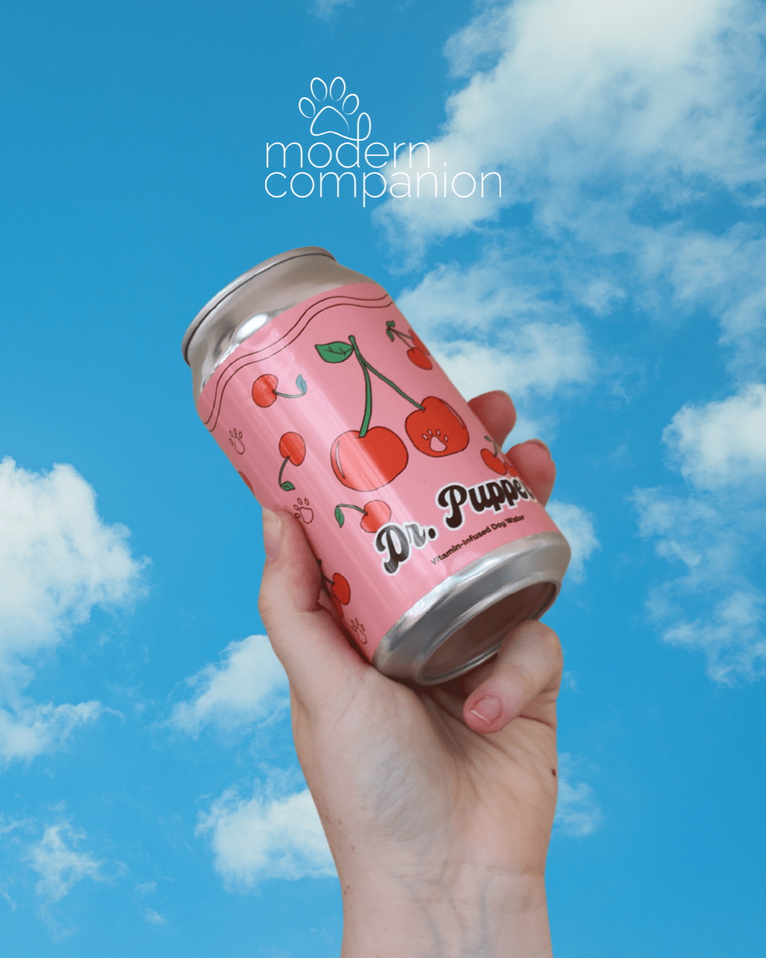 Dr. Pupper Vitamin - Infused Dog Water - Modern Companion