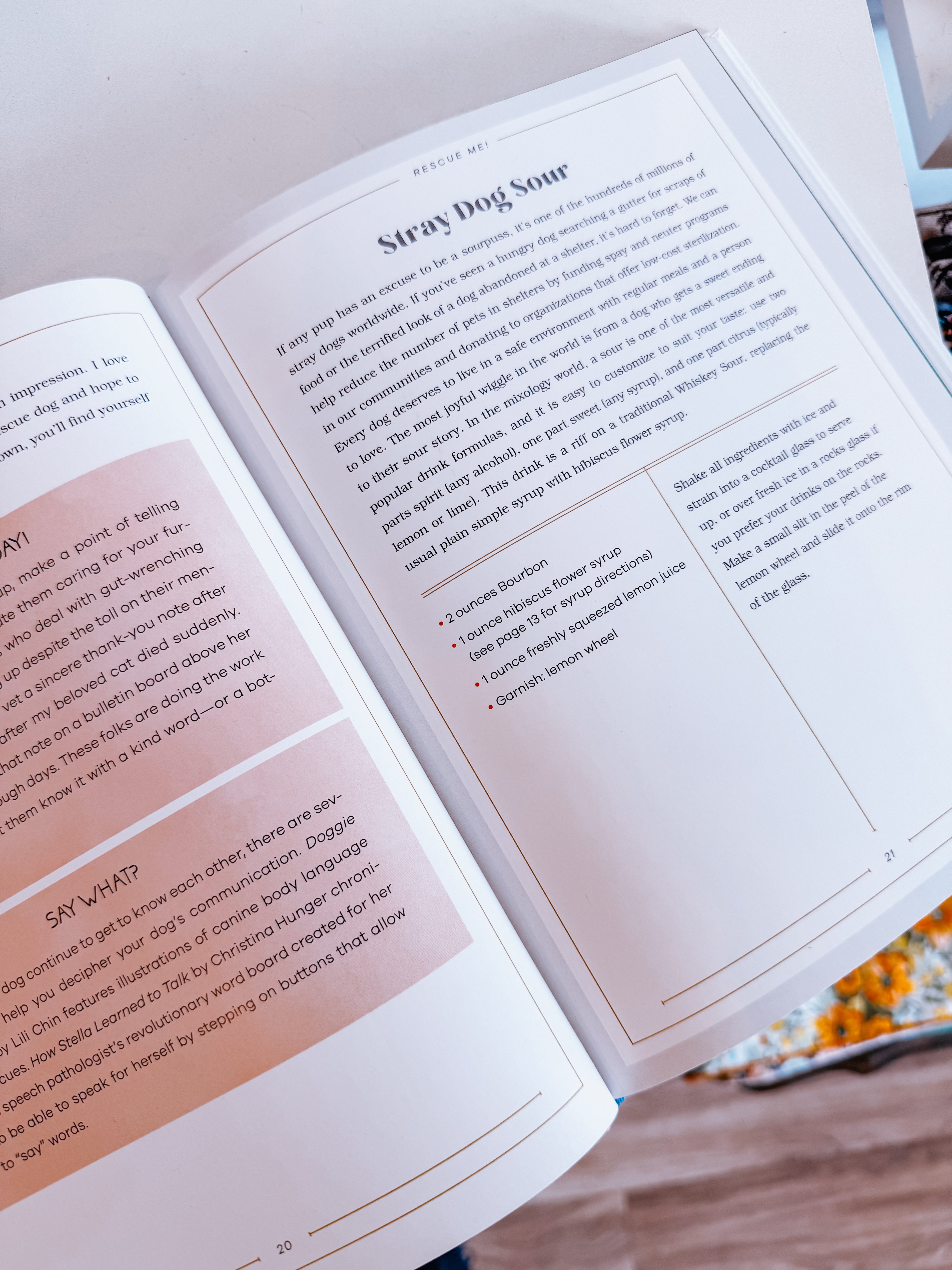 Drinking with My Dog Canine Cocktail Book - Modern Companion