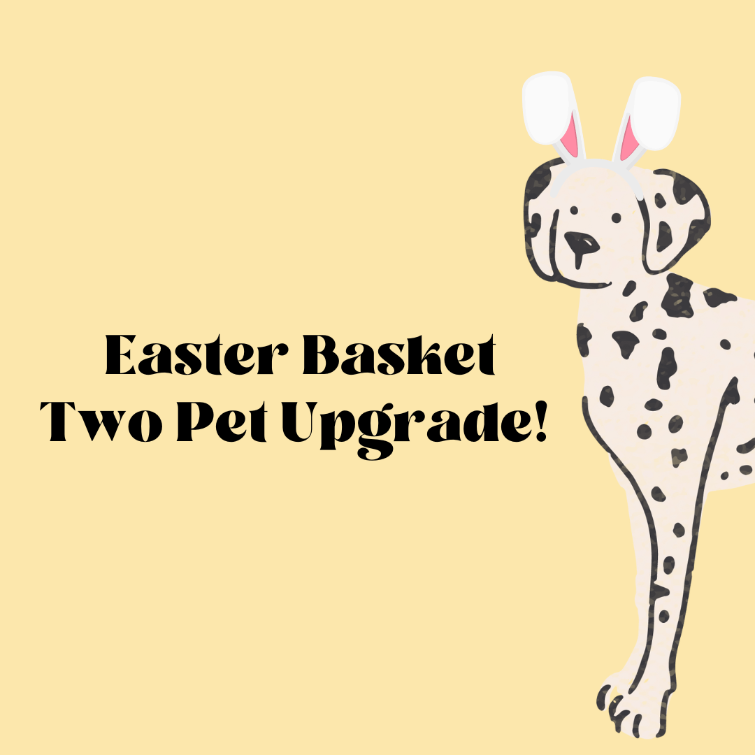 Easter Basket Two Pet Upgrade - Modern Companion