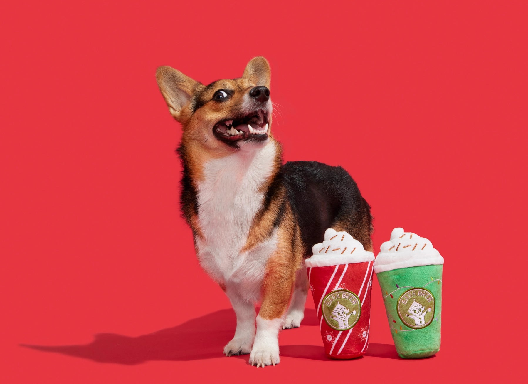 Fa - La - La - Lattes Toy - Modern Companion