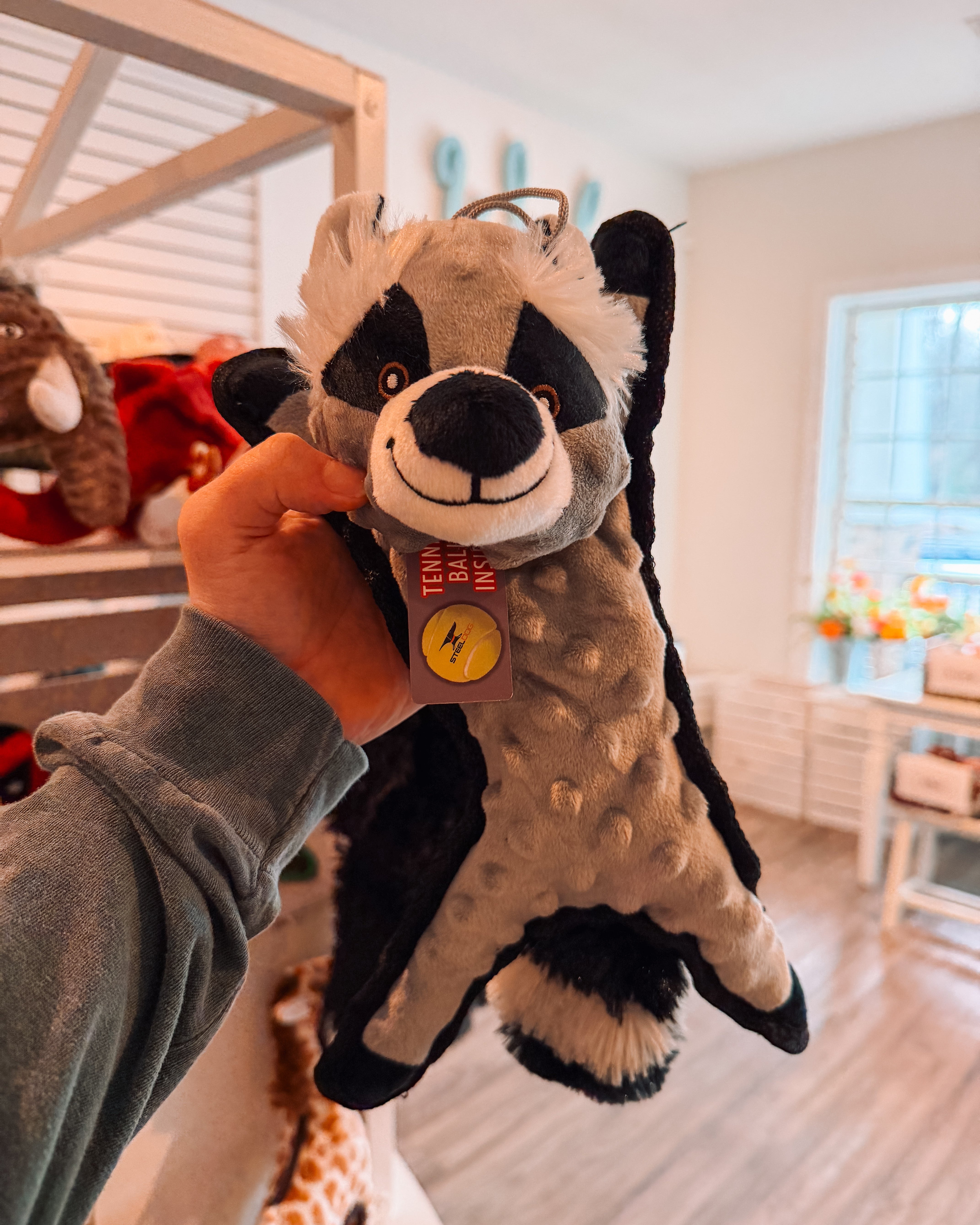 Flat Bumpy Raccoon - Modern Companion