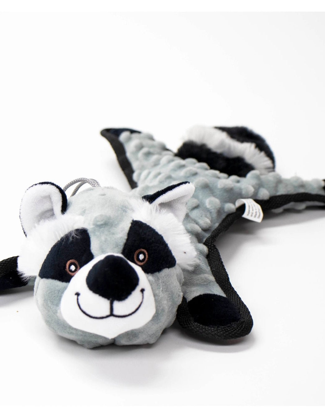 Flat Bumpy Raccoon - Modern Companion