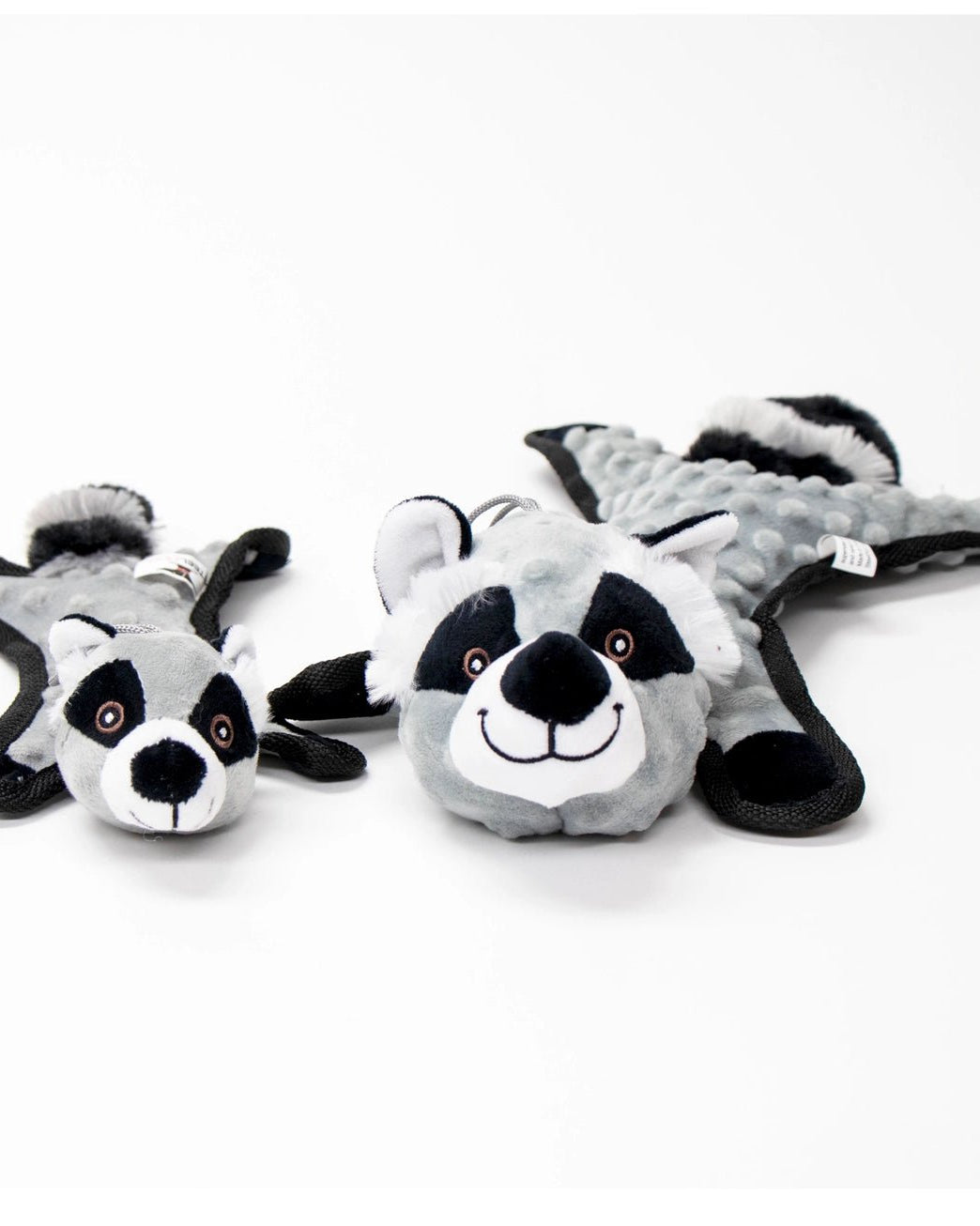 Flat Bumpy Raccoon - Modern Companion