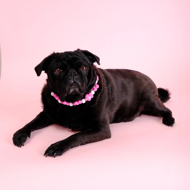 Flower Beaded Pet Collar - Modern Companion