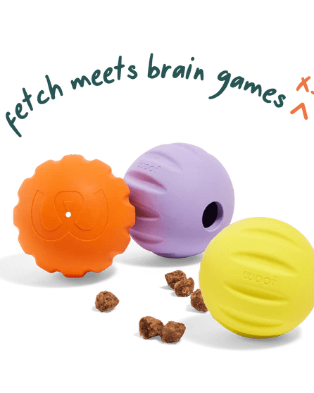 Flyball 3 Pack - Modern Companion