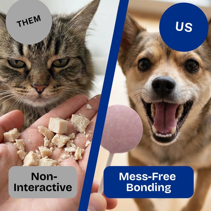 Freeze - Dried Chicken Lollipops - Dog & Cat Treats - Modern Companion