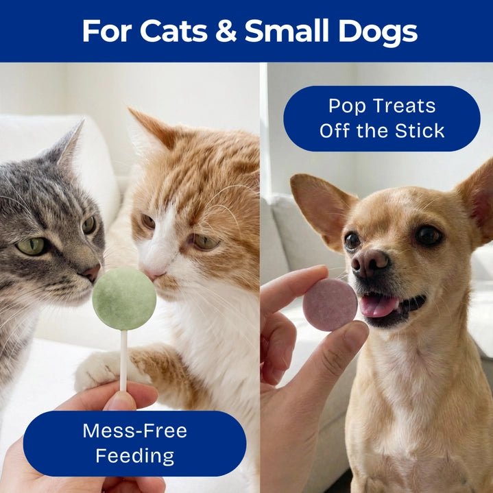 Freeze - Dried Chicken Lollipops - Dog & Cat Treats - Modern Companion