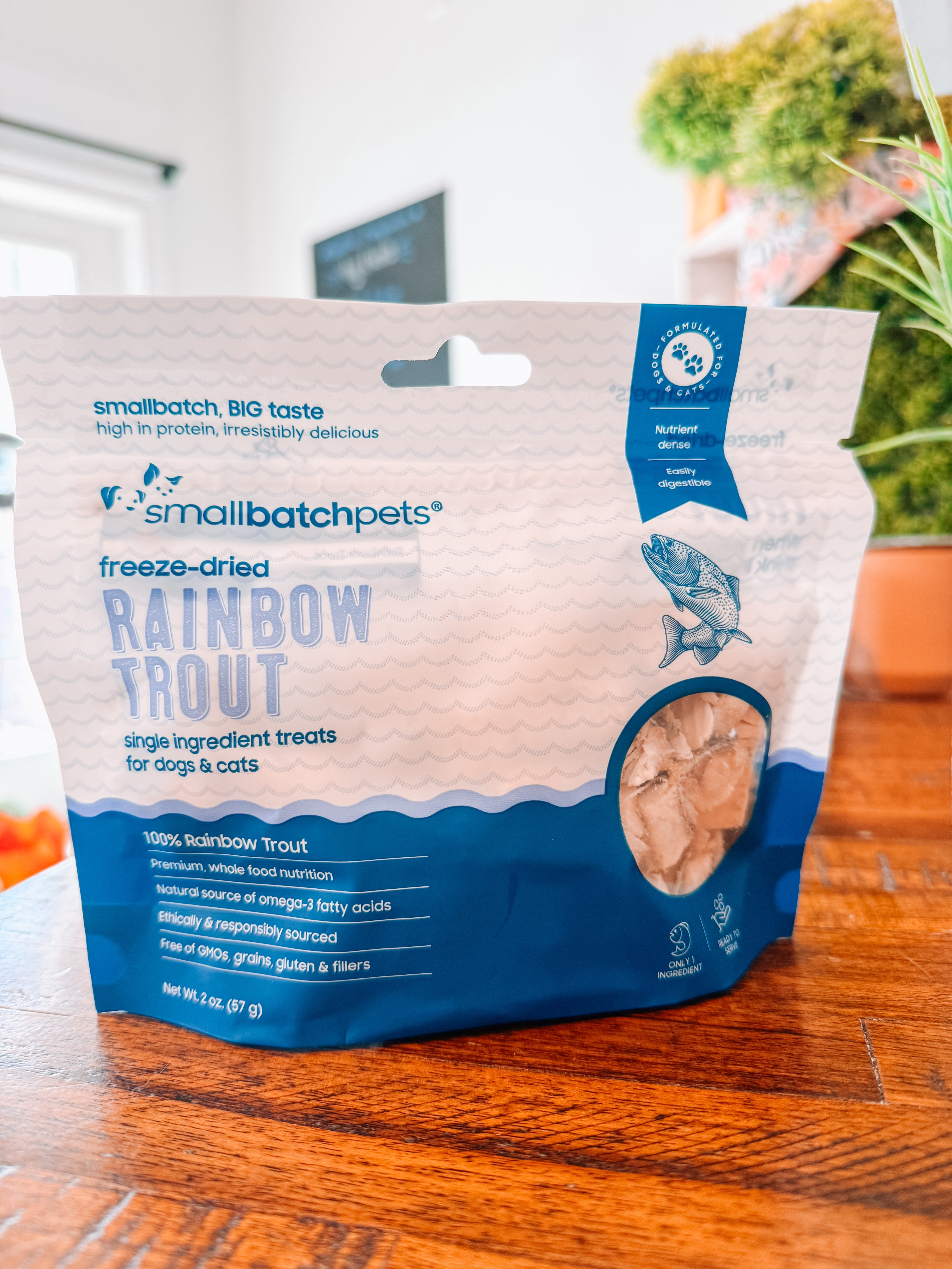 Freeze Dried Rainbow Trout Treats - Modern Companion