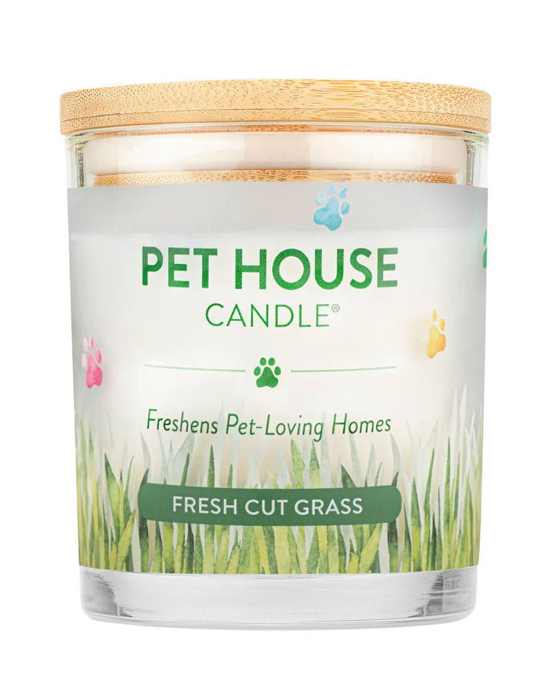 Fresh Cut Grass Candle - Modern Companion