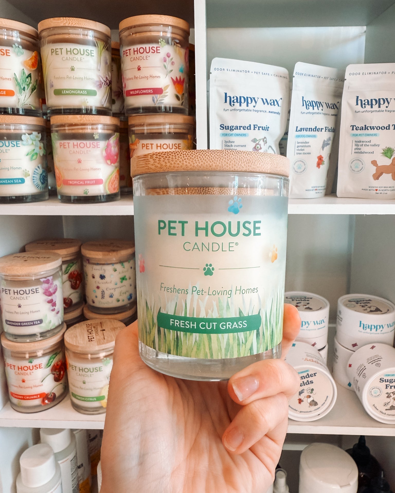 Fresh Cut Grass Candle - Modern Companion