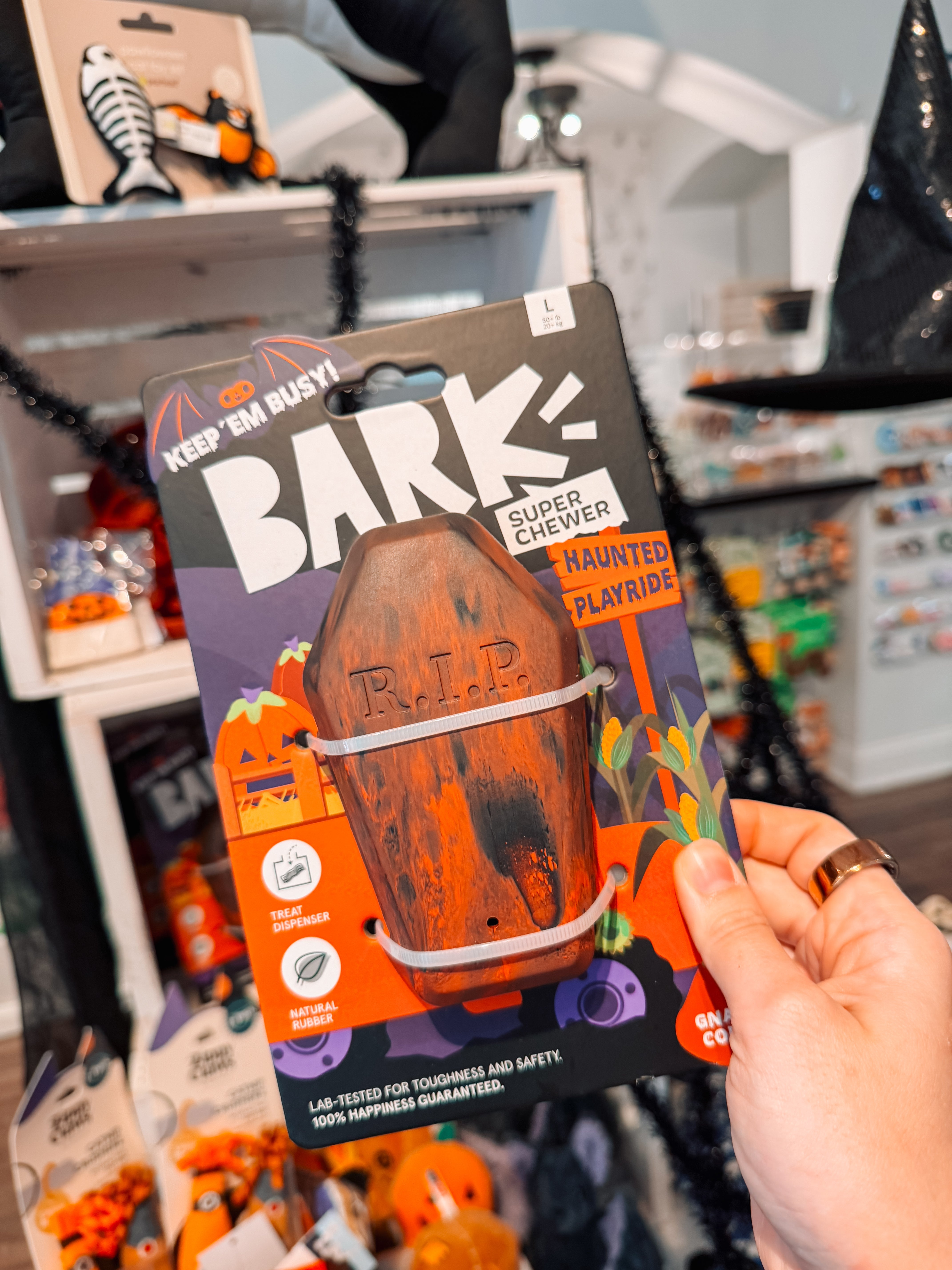 Gnawin' Coffin Chew Toy - Modern Companion