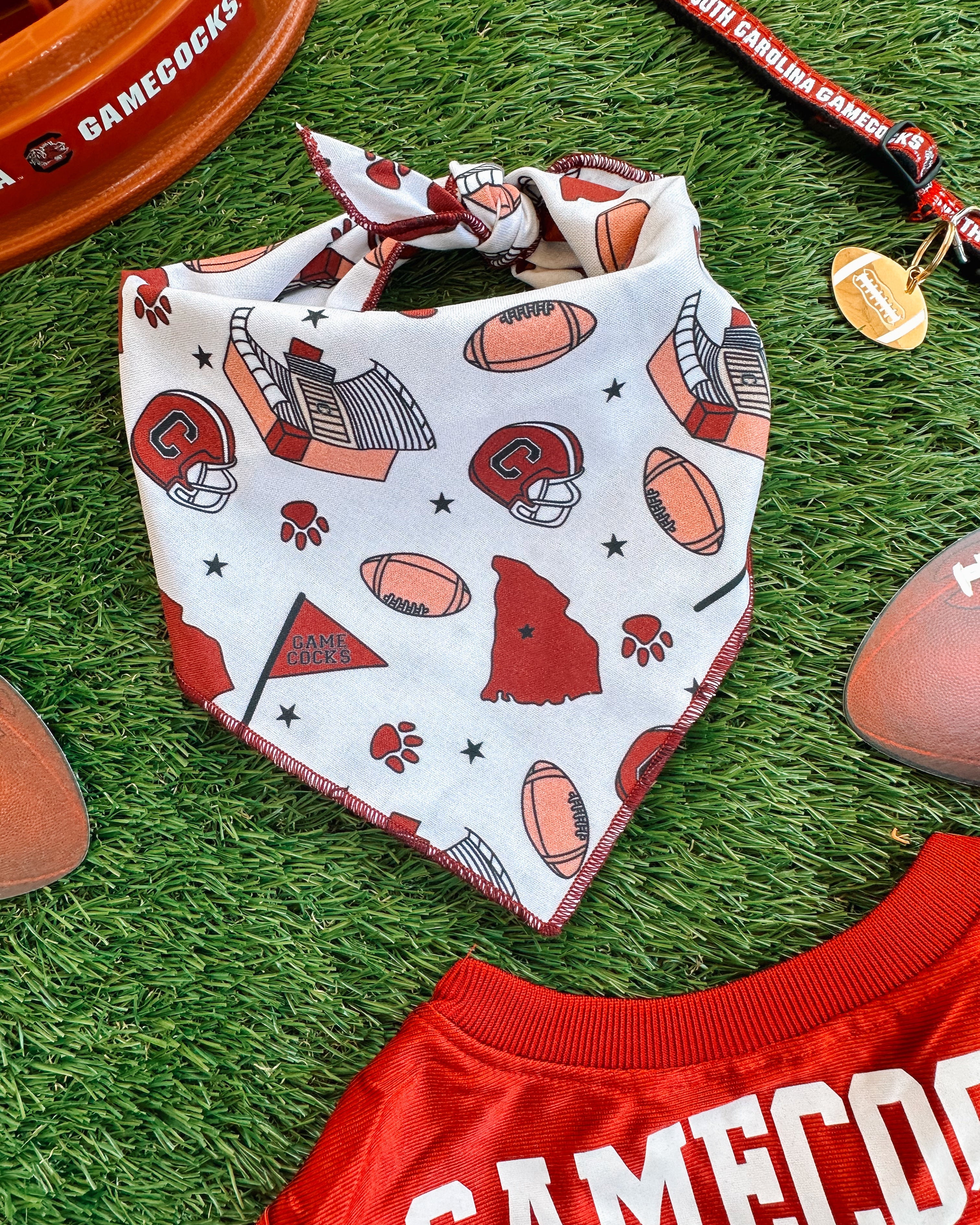 Go Gamecocks Pet Bandana - Modern Companion